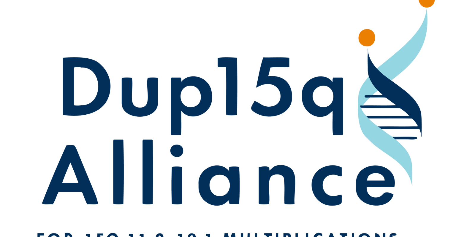 The Dup15q Alliance