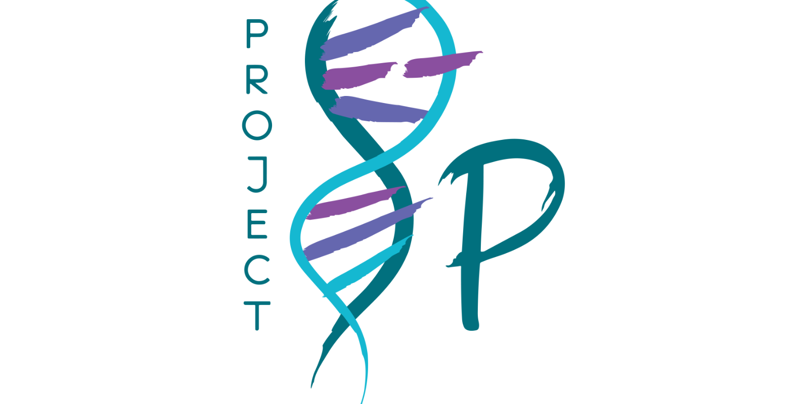 Project 8p Foundation