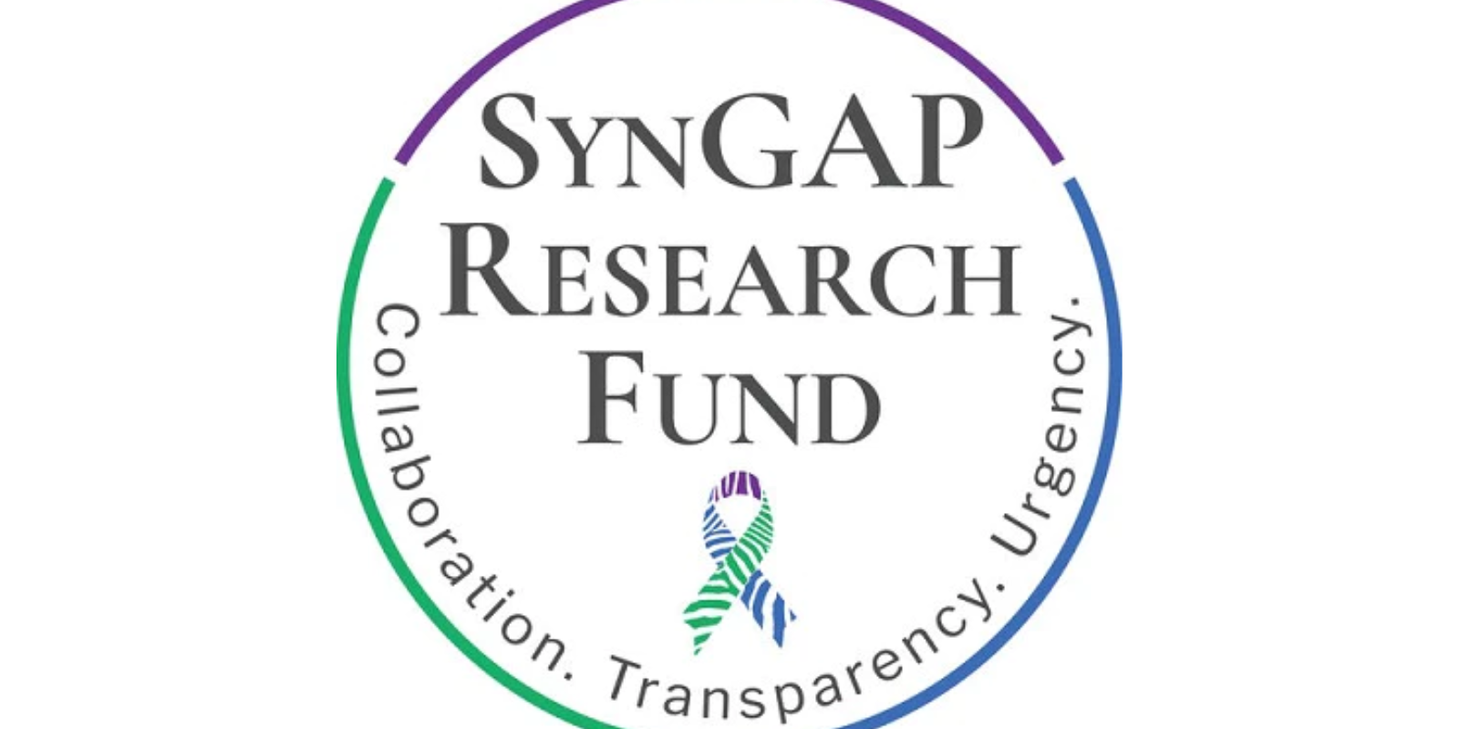 SynGAP Research Fund