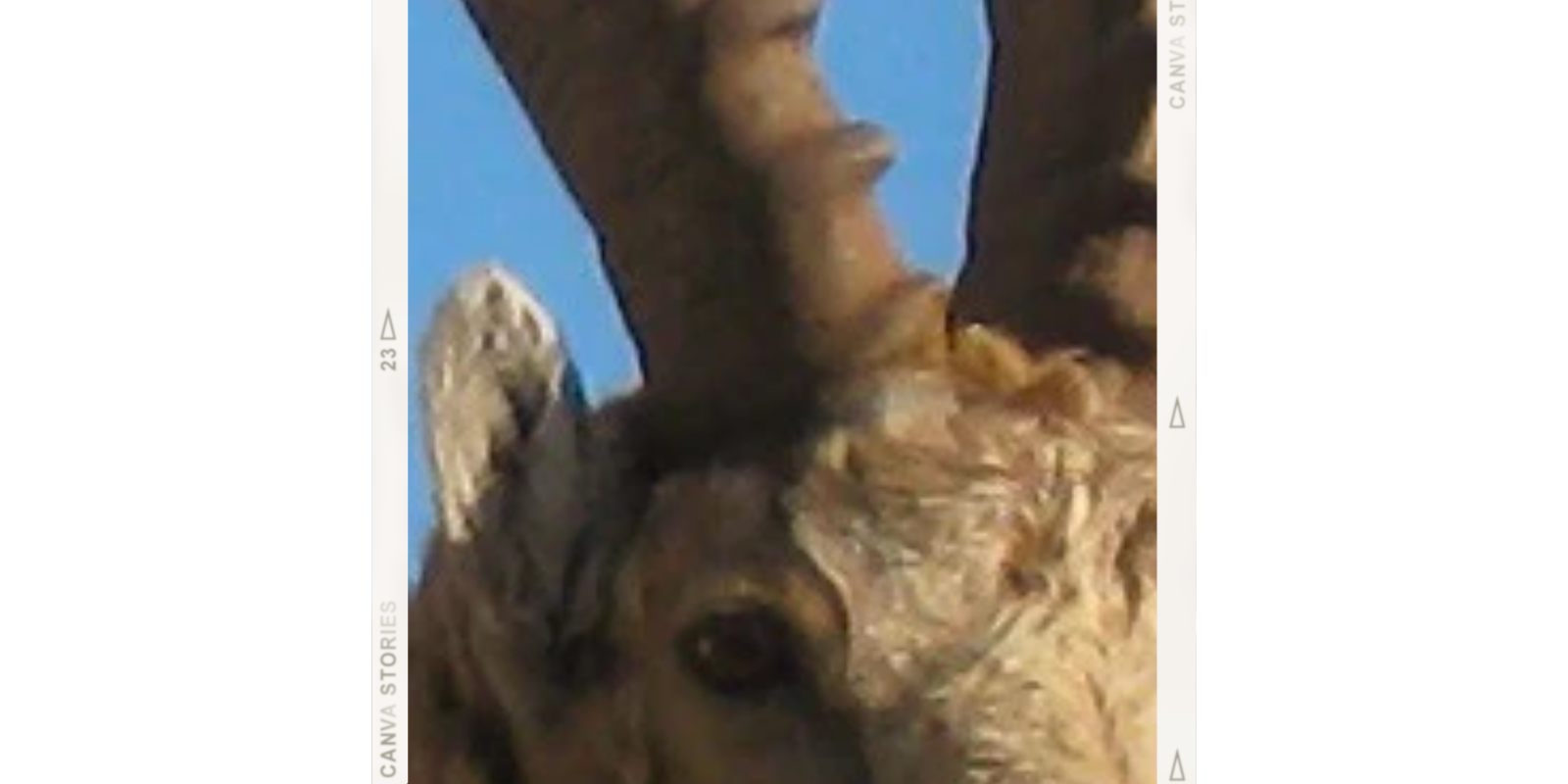 Tenacity — The BILLY Defined Series | BILLY Footwear